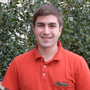 Hansi